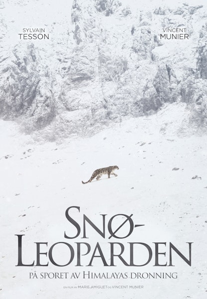 Snøleoparden