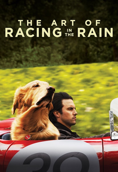 The Art of Racing in the Rain