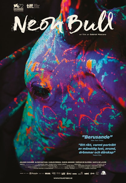 Neon Bull