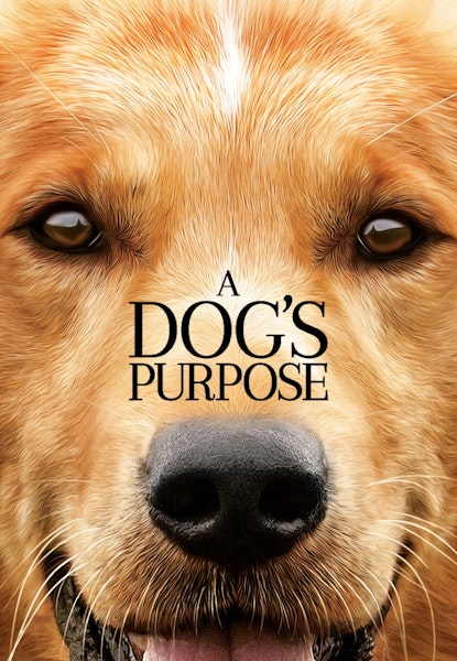 A Dog's Purpose