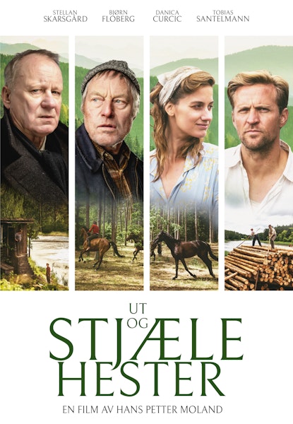 Ut og stjæle hester