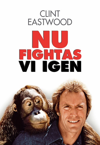 Nu fightas vi igen!