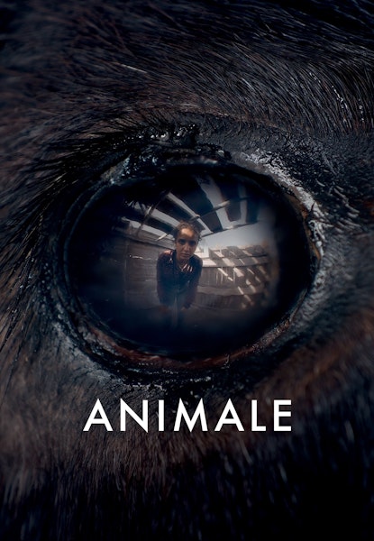 Animale