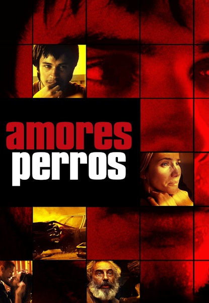 Amores perros