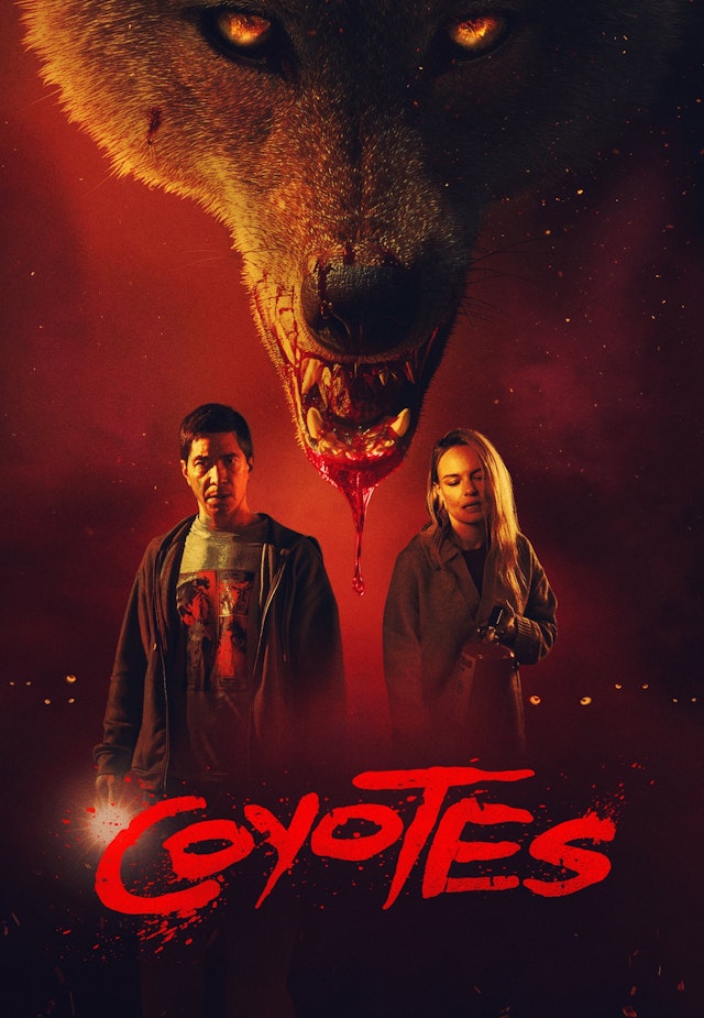 Coyotes