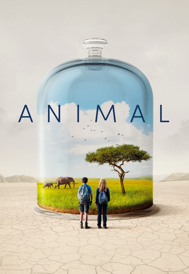 Animal