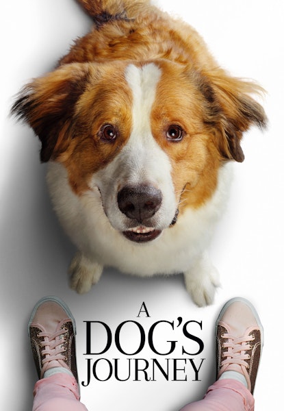A Dog's Journey
