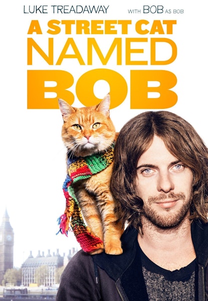 En gatekatt ved navn Bob