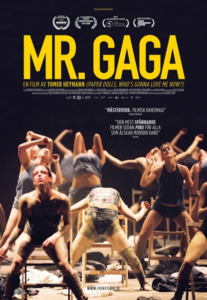 Mr. Gaga