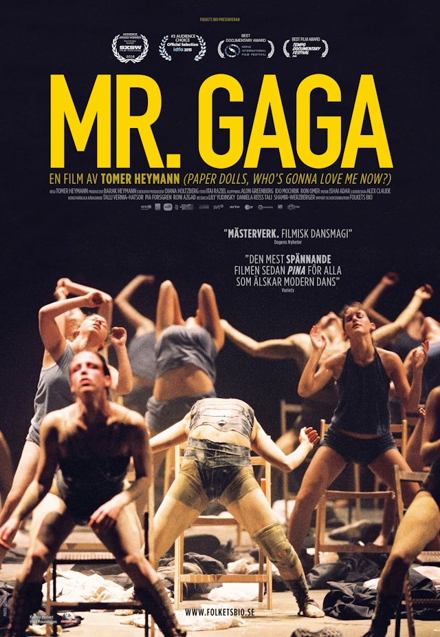 Mr. Gaga