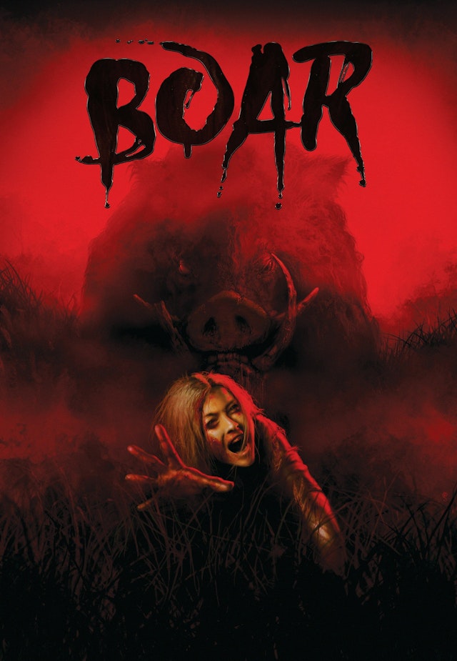 Boar