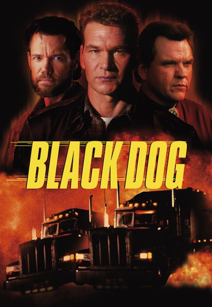 Black Dog