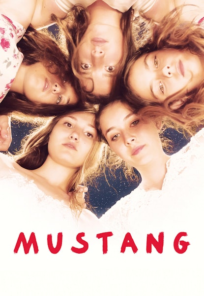 Mustang