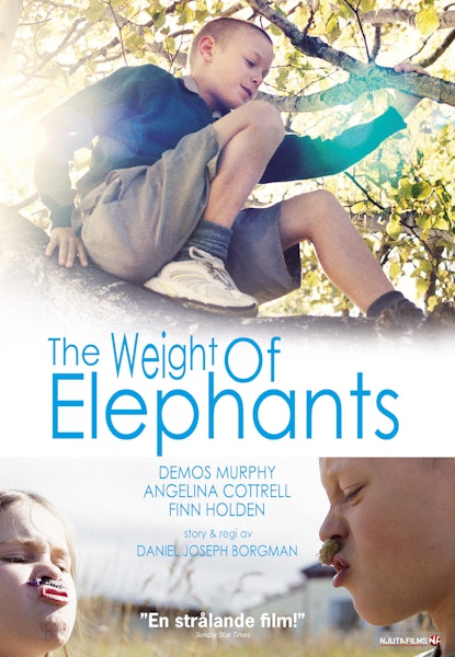 The Weight of Elephants