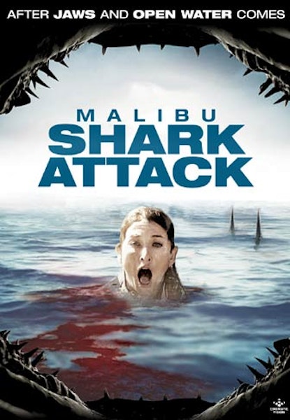 Malibu Shark Attack