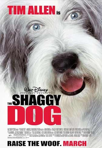 Shaggy Dog