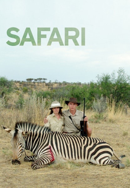 Safari