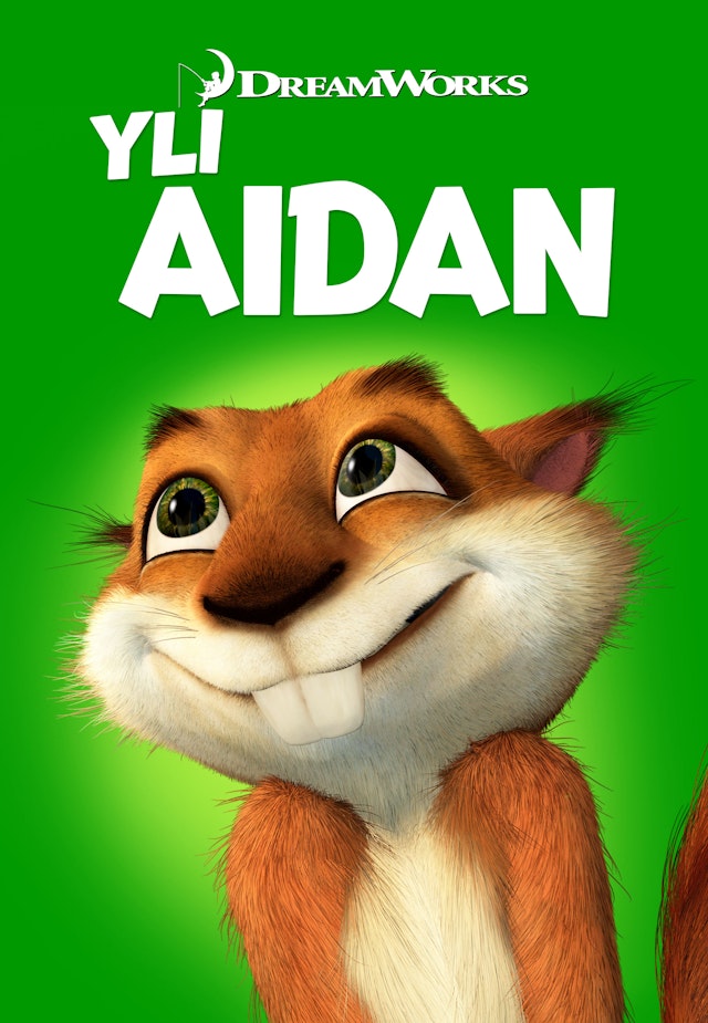 Yli aidan