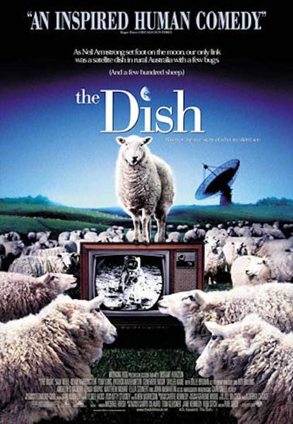 Dish