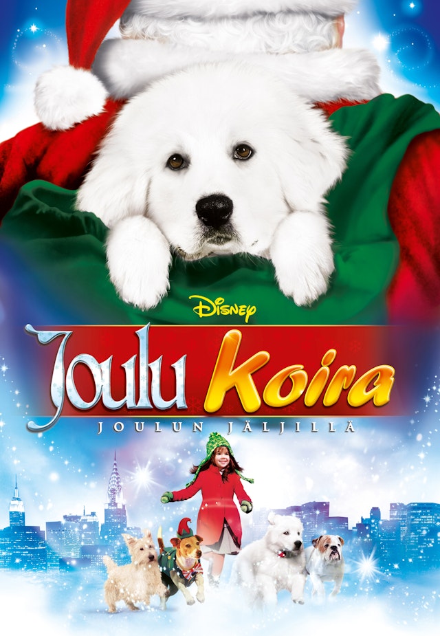 Joulukoira joulun jäljillä