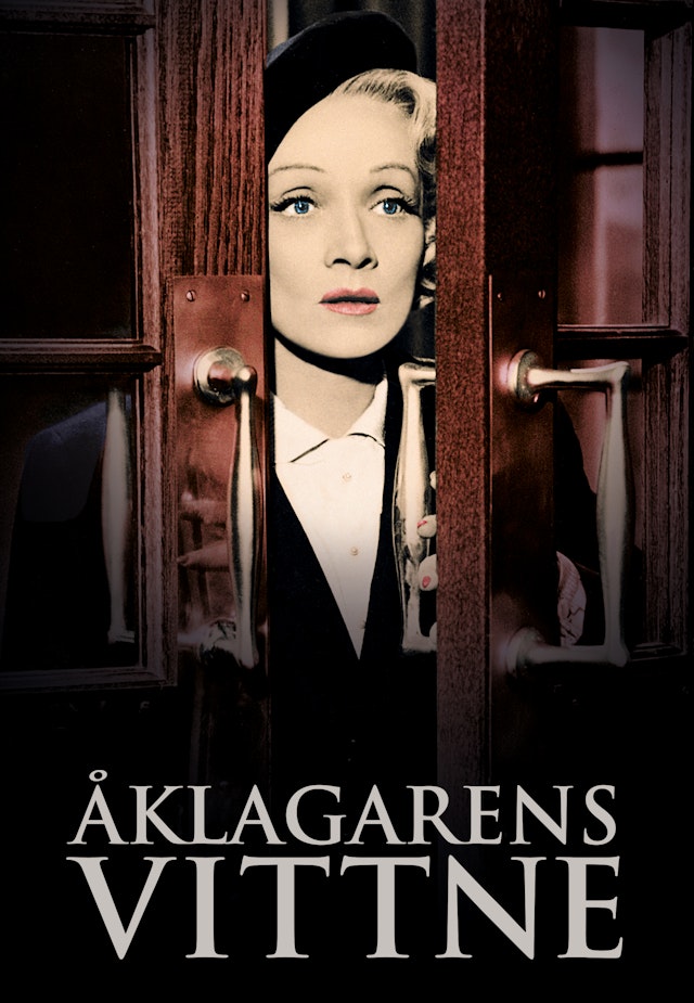 Åklagarens vittne