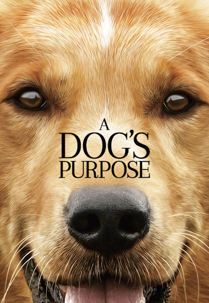 A Dogs purpose