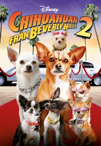 Beverly Hills Chihuahua 2