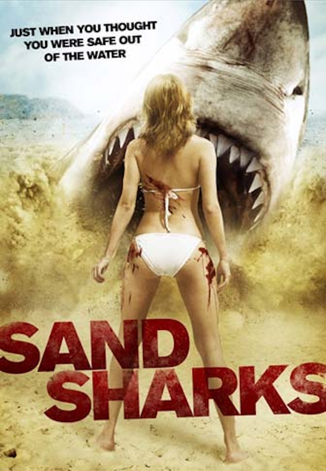 Sand Sharks