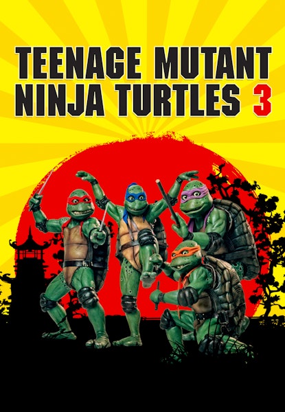 Teenage Mutant Ninja Turtles 3