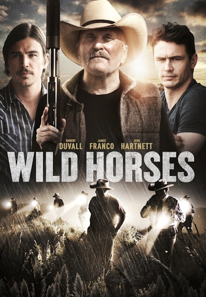 WILD HORSES