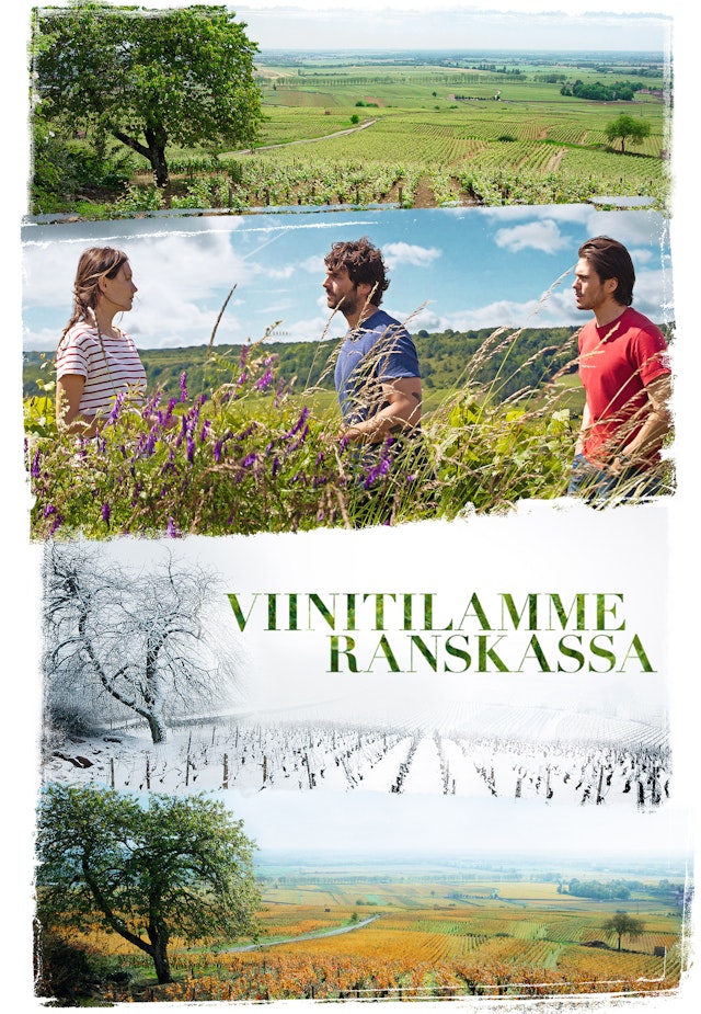 Viinitilamme Ranskassa