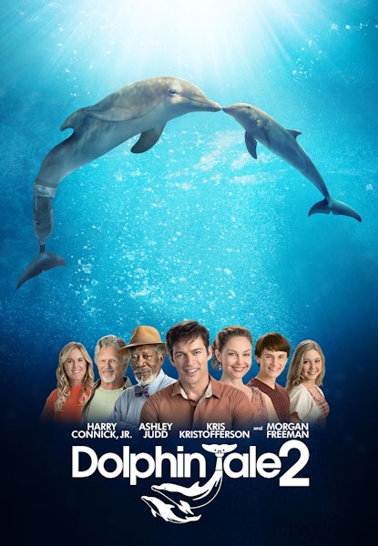 Dolphin tale 2