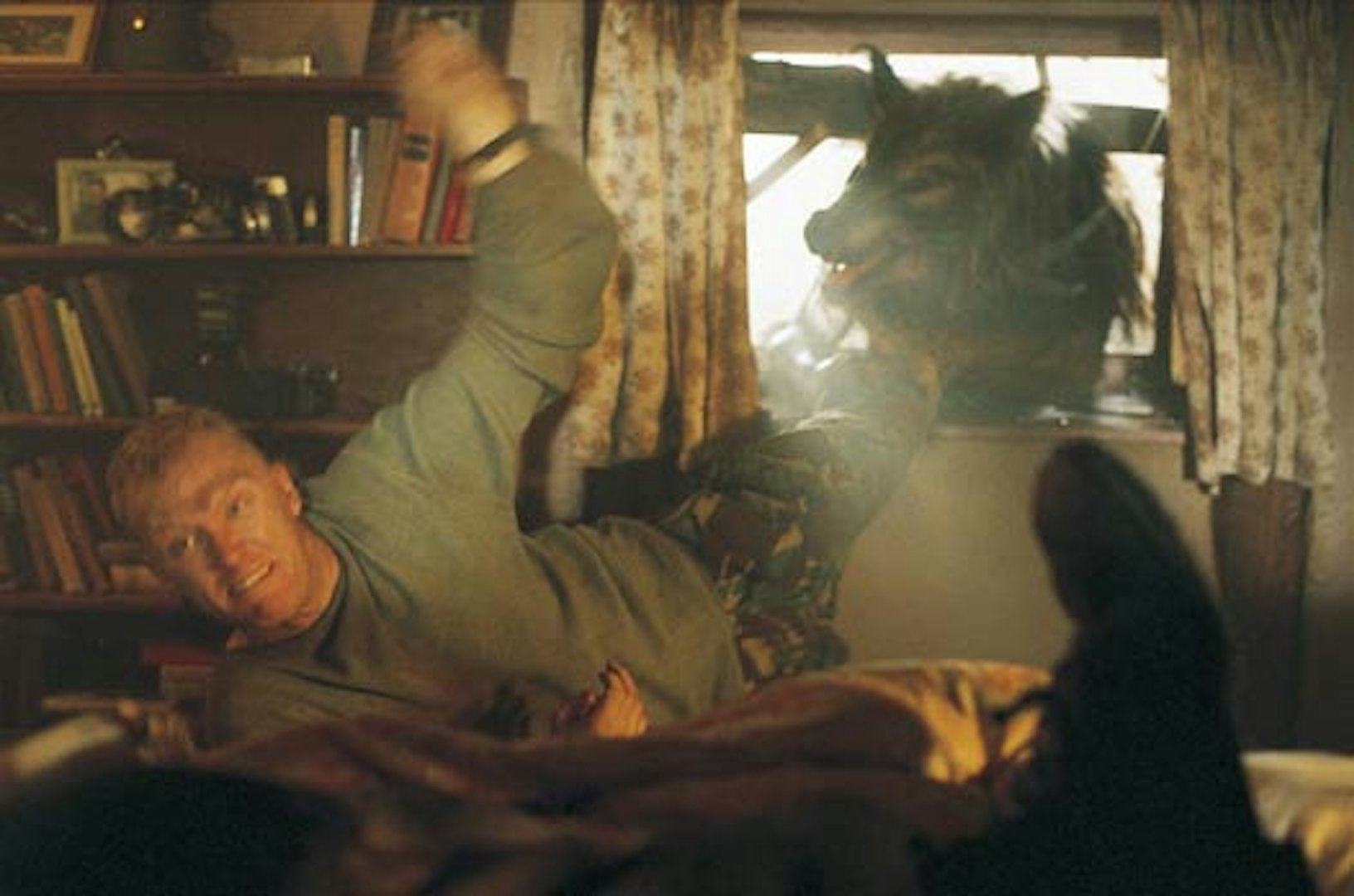 Dog Soldiers – Lei eller kjøp og streame på SF Anytime