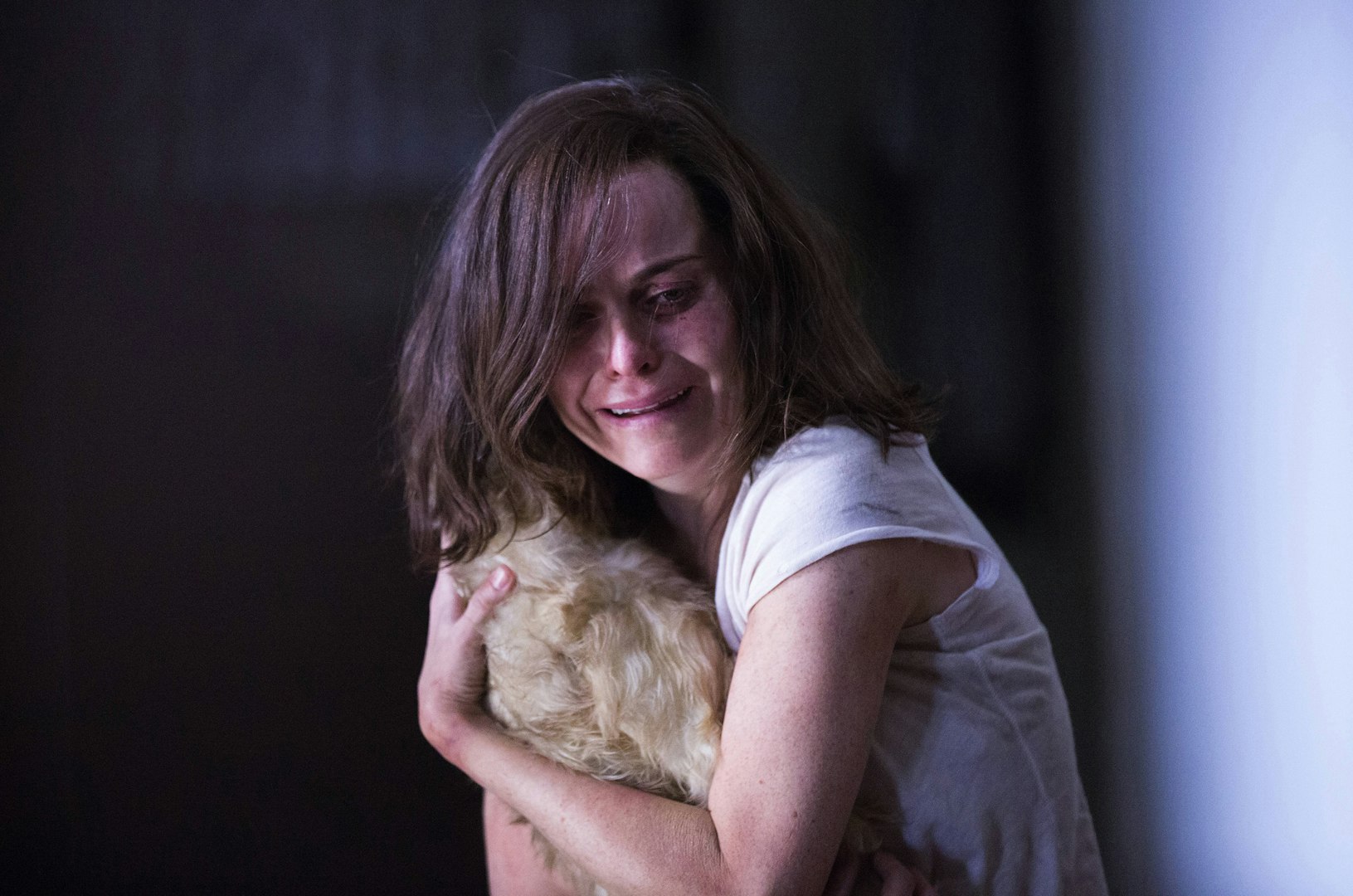 Netflix Cleveland Abduction Stream Free Cleveland Abduction â Lej Eller KĂžb, Og Stream PĂ„ Blockbuster