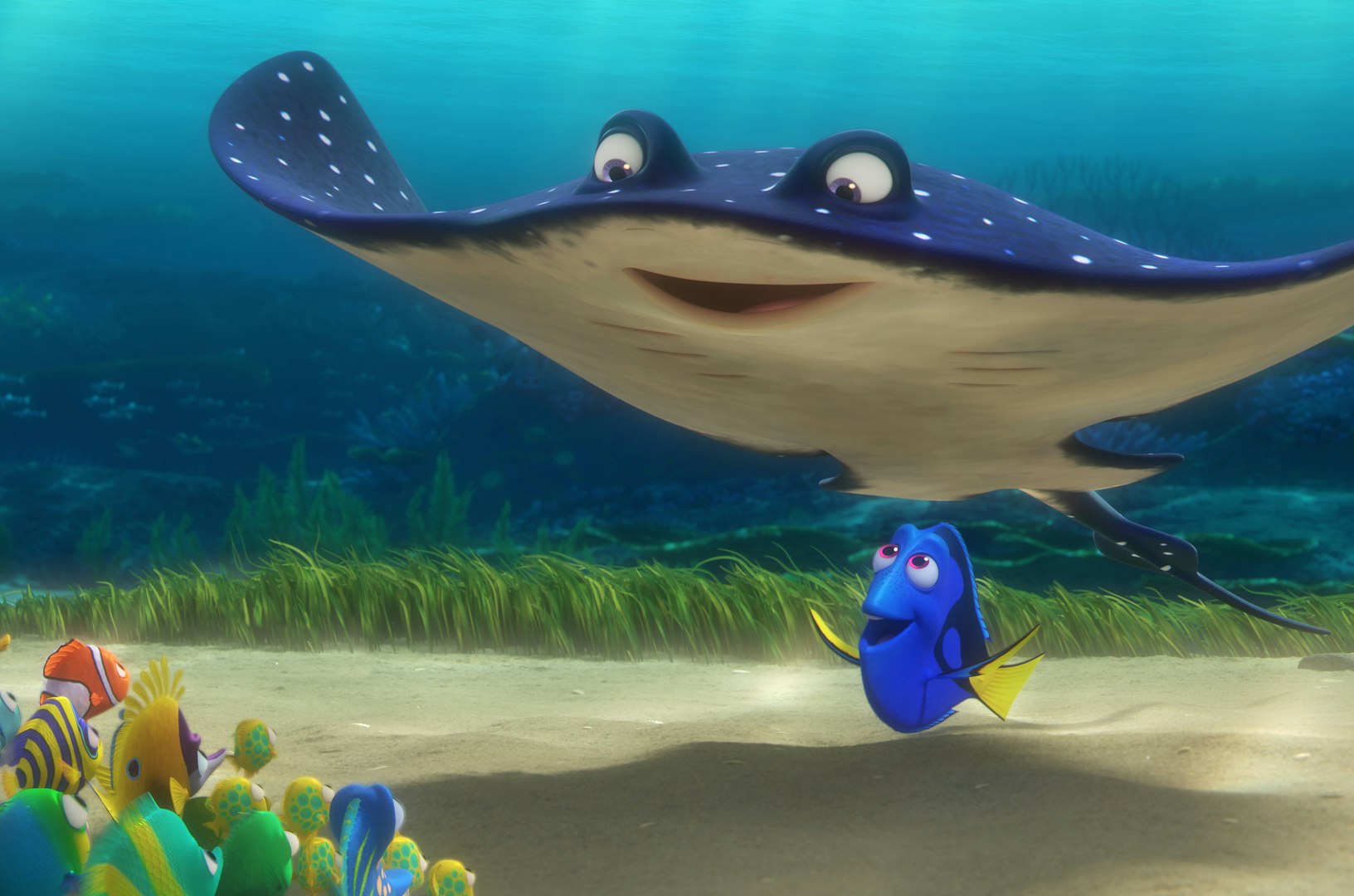Finding Dory Rip Off Find Dory – Lej eller køb, og stream på Blockbuster