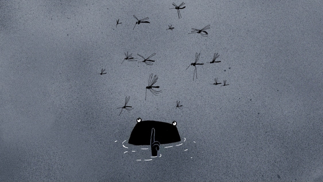 Deux amis Lei eller kjøp og streame på SF Anytime