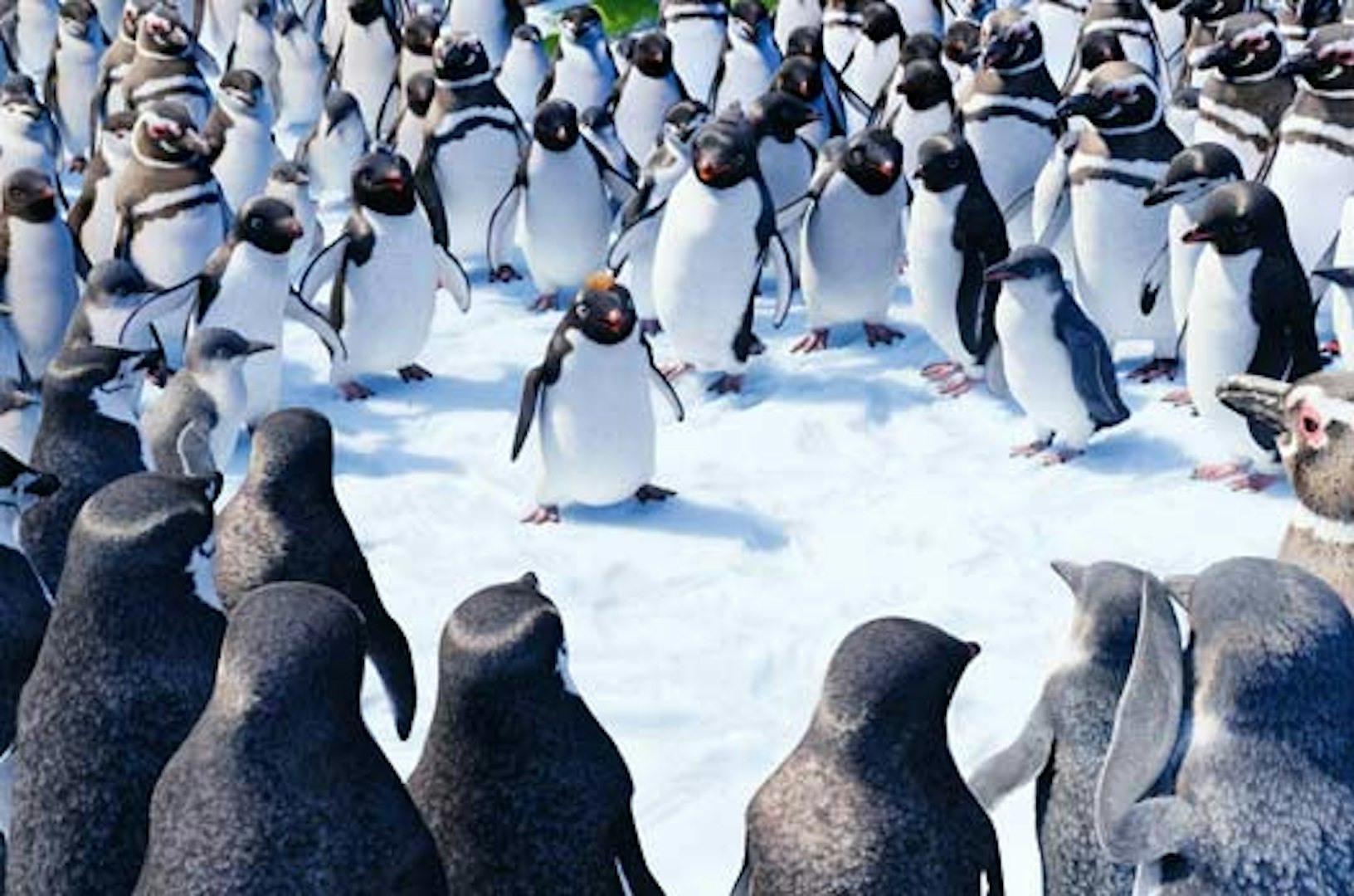 Happy Feet – Lej eller køb, og stream på Blockbuster