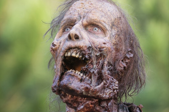 The Walking Dead S05E16