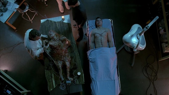 Fringe S02E19