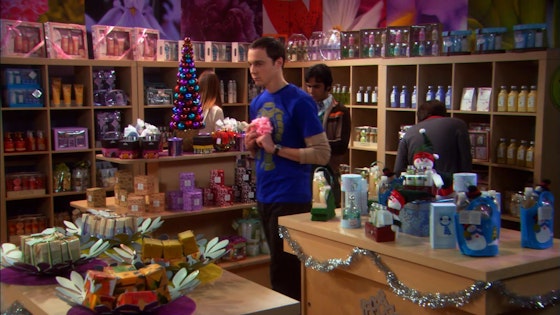 The Big Bang Theory S02E11