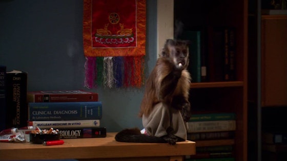 The Big Bang Theory S04E21