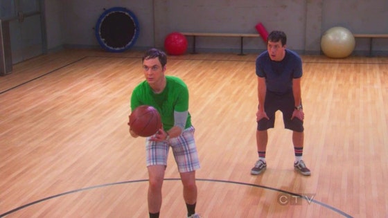 The Big Bang Theory S05E17