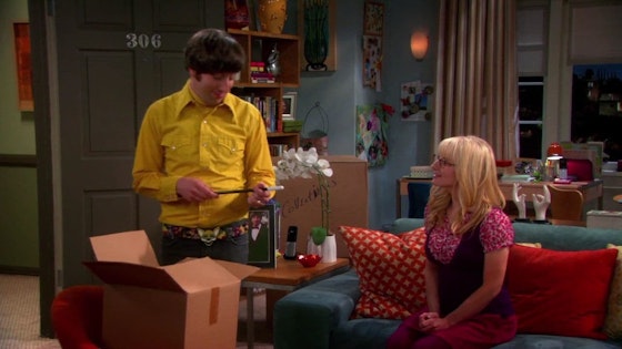 The Big Bang Theory S06E07