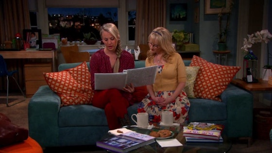 The Big Bang Theory S06E09