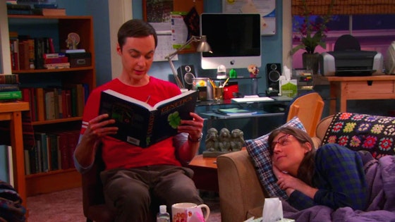The Big Bang Theory S06E10