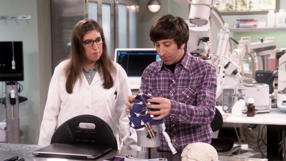 The Big Bang Theory S11E05