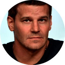 David Boreanaz